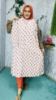 Picture of Orginal Indian Joypuri One Piece Kurti