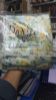 Picture of Indian Exclusive Loan Cotton Three Piece 