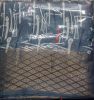 Picture of Total Dhamal  Cotton Fabrics Sharee 