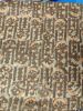 Picture of Desi Cotton Premium Three Piece Multi Color
