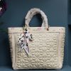 Picture of Emiliy Loran Luxurious Shoulder Bag (5027)